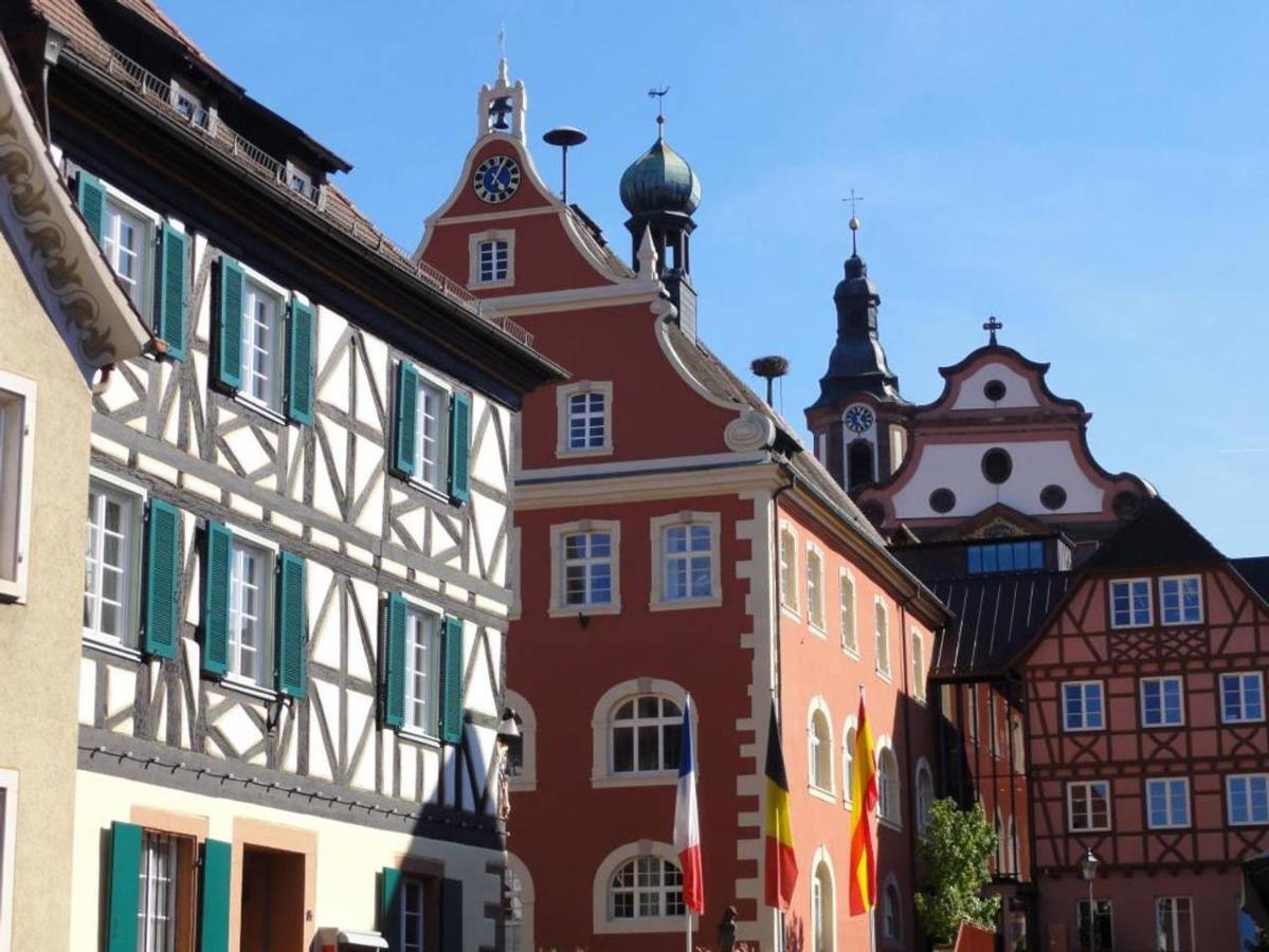 Perfekt Fuer Familien Und Gruppen Nur 10Min Vom Europapark - W6 Ettenheim Exterior foto
